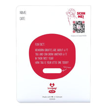 Load image into Gallery viewer, 1st Birthday Balloons
